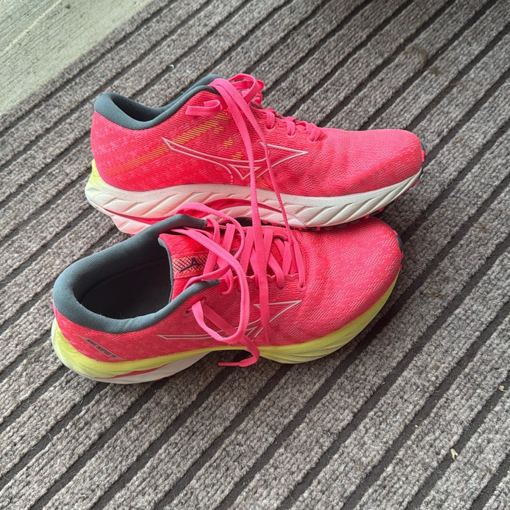 Mizuno Wave Inspire 19s